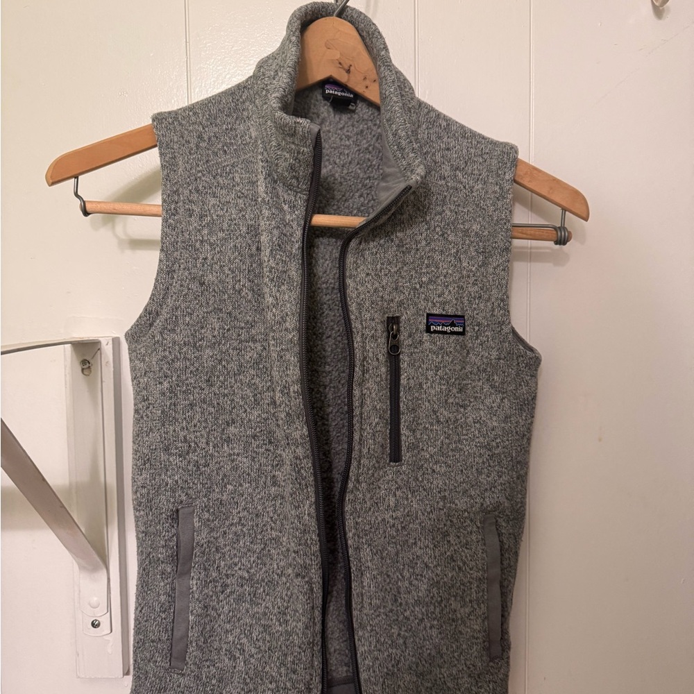 Patagonia Heather Gray Fleece Vest